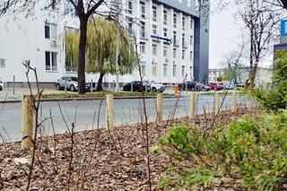 Lublin: Więcej zieleni w centrum miasta 