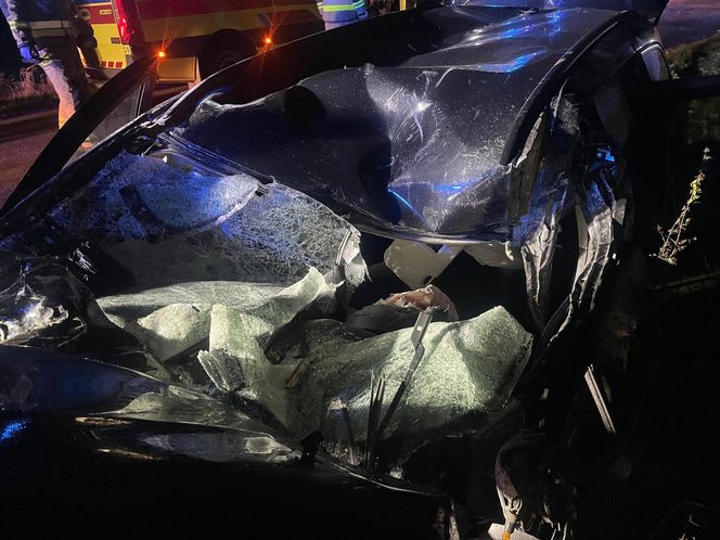 Wichura zmiotła drzewo na samochód. Ojciec i córka poszkodowani