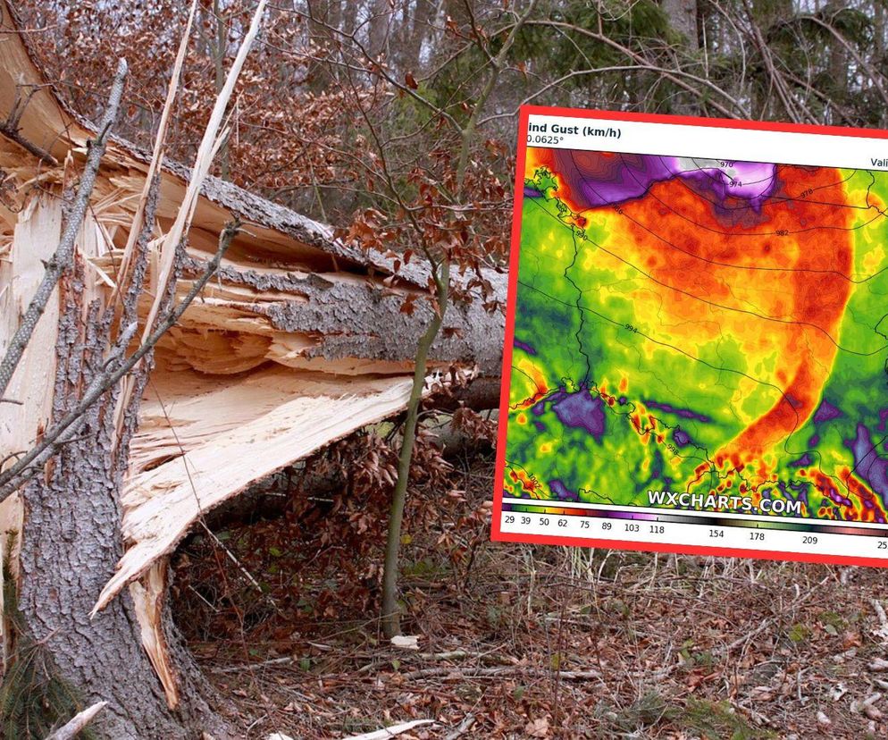 Porywisty wiatr w Polsce. Nadciąga ostre załamanie pogody