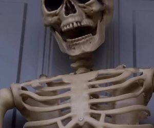 Małgorzata Rozenek-Majdan