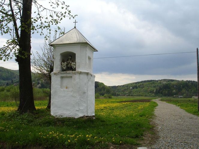 Mrzygłód - wieś na Podkarpaciu