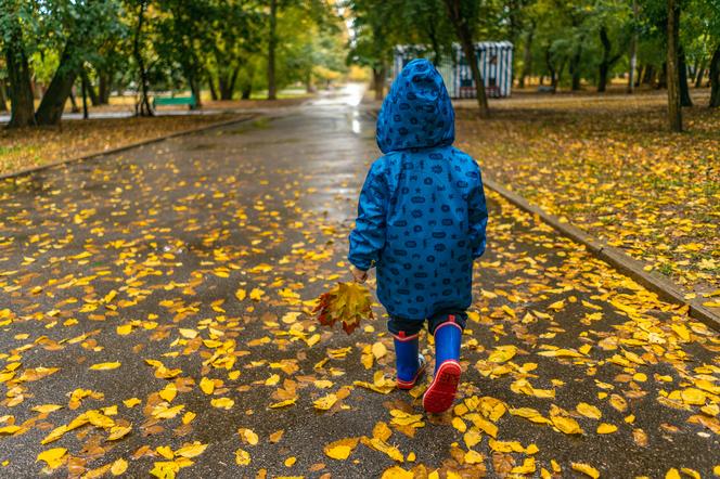 Prognozy IMGW mówią o deszczu. Padła data