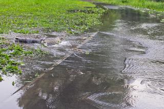 IMGW ostrzega przed burzami z GRADEM. W Małopolsce może być niebezpiecznie