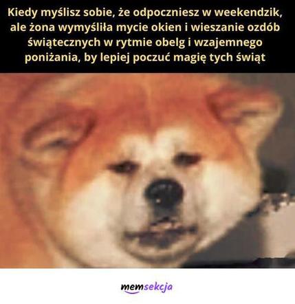 Najlepsze memy o żonie. Te obrazki rozbawią nie tylko mężczyzn do łez