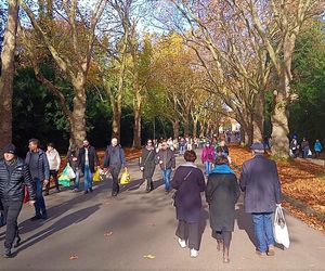 1 listopada na Cmentarzu Centralnym w Szczecinie