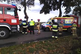 Lubieszewo: Wypadek osobówki. Kierowca trafił do szpitala [ZDJĘCIA]