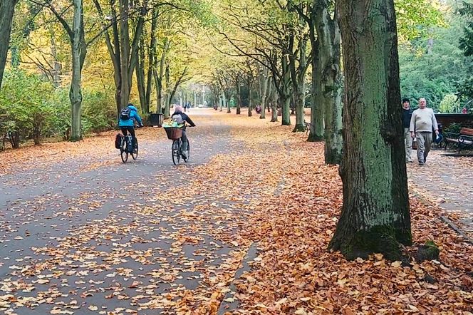 Przygotowania do 1 listopada na Cmentarzu Centralnym w Szczecinie