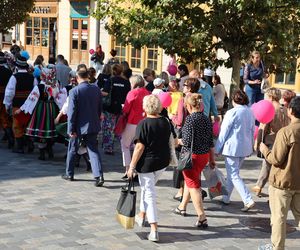 W centrum Lublina królował róż! Przez miasto przeszedł Marsz Różowej Wstążki