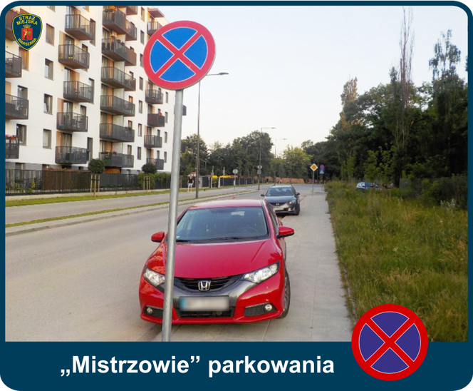Mistrzowie parkowania. Tak kierowcy parkują w Warszawie