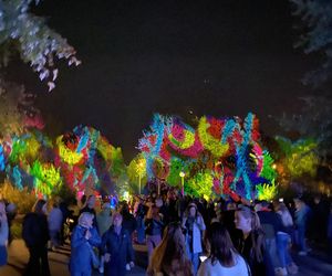 Light Move Festival 2025