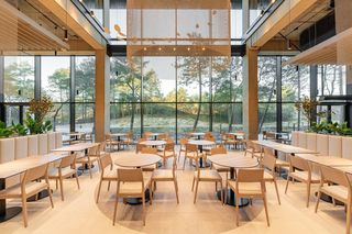 Tak wygląda nowy, pięciogwiazdkowy hotel Shellter, przy plaży w Rogowie