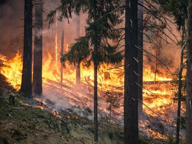 W Kazachstanie szaleje pożar. Zabił już 14 osób