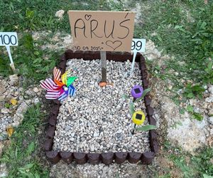 W całym woj. śląskim jest tylko jeden taki cmentarz. Miejsce, gdzie pamięć o pupilu nie umiera