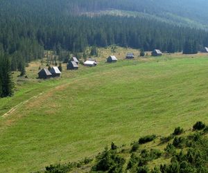Polana Kopieniec