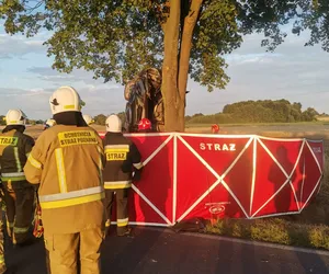 Tragiczny wypadek w Sierzchowie w gm. Opatówek. Kierowca zginął na miejscu 