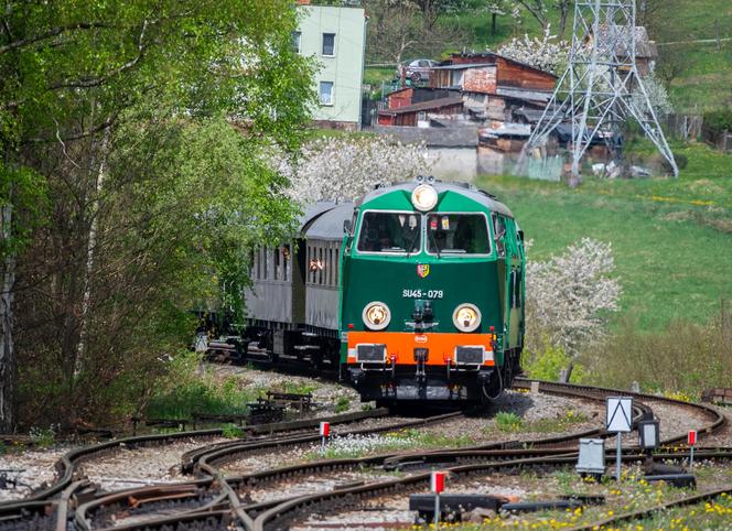 Zabytkowym pociągiem przez Góry Sowie