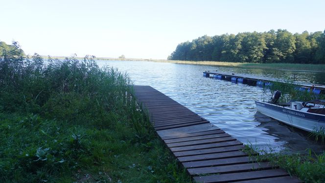 Bunkry na Mazurach wybudowane dla żołnierzy Wehrmachtu. To tu miała być ukryta Bursztynowa Komnata [ZDJĘCIA]