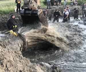 Poszukiwacze bursztynu w Rewie. Jak wyglądają poszukiwania złota Bałtyku? 