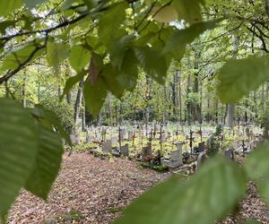 To nietypowe miejsce jest idealne na randkę. Jego wyjątkowość może zaskoczyć