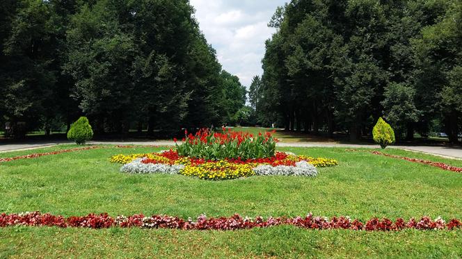 Letni spacer w parku miejskim w Zamościu