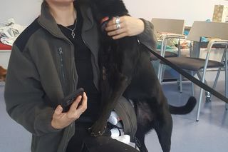 Mikołajki w bydgoskim schronisku dla zwierząt. Kiedy ludzie dają miłość psom, dzieje się magia