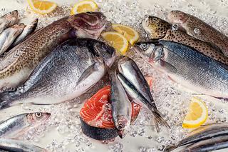 Ryby – które warto jadać?