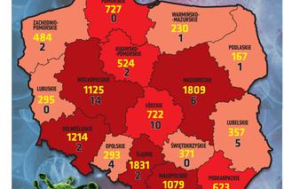  Koronawirus 12 kwietnia 2021. Ile jest nowych zakażeń i zgonów w poniedziałek?