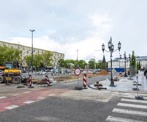 Sadzenie zieleni na placu Bankowym w maju 2025 r.