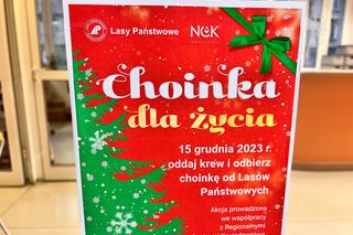 Akcja Choinka dla życia w Krakowie