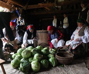 Tak ongiś siekano kapustę w woj. lubelskim. „Obieraczki kapuściane” w Muzeum Wsi Lubelskiej