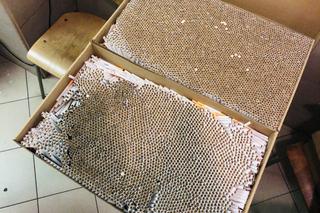 Policjanci znaleźli 8600 sztuk nielegalnych papierosów