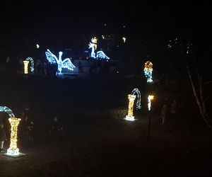 18- latek zniszczył świąteczne iluminacje w koszalińskim parku. Został złapany na gorącym uczynku