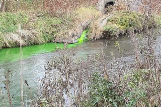 Zabrze: Rzeka Bytomka zmieniła kolor na zielony. Dlaczego?
