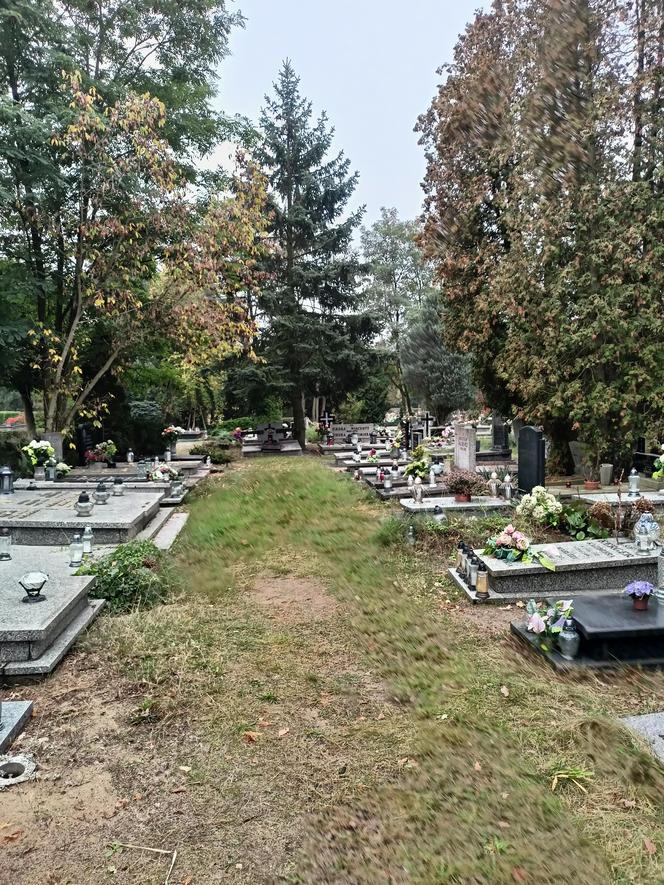 Cmentarz Junikowo Poznań