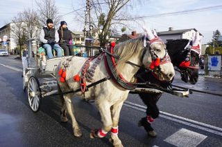 Święto Objawienia Pańskiego w Piekarach Śląskich
