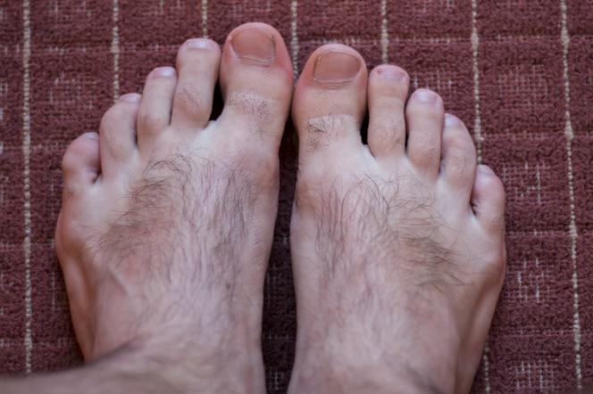 Owłosione męskie stopy 