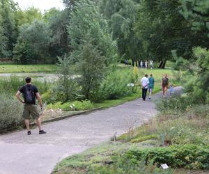 Kwitnący Ogród Botaniczny UMCS w Lublinie