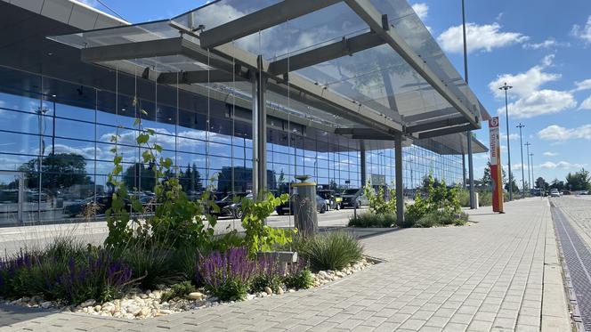 Zazieleniony teren parkingu i pasażu przed terminalami Katowice Airport