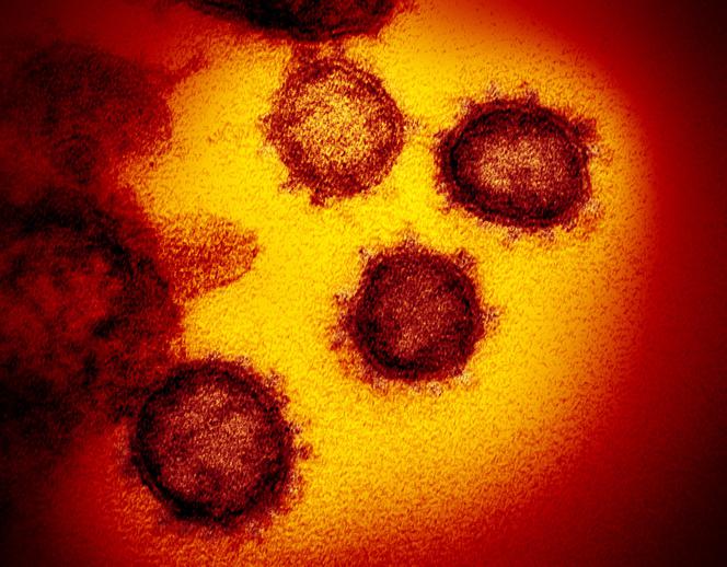 COVID wirus pandemia szczepienia
