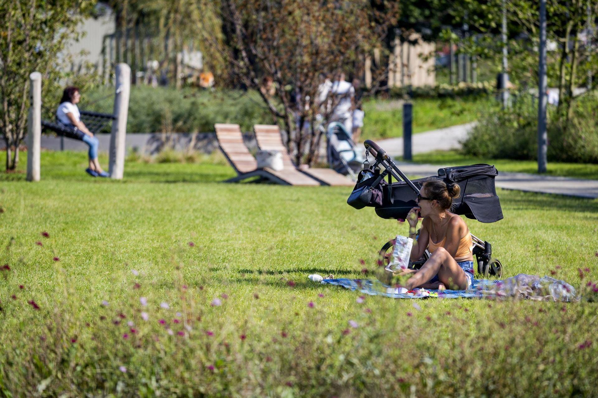 Park Centralny w Gdyni