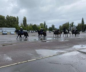 Ćwiczenia policjantów i strażników miejskich