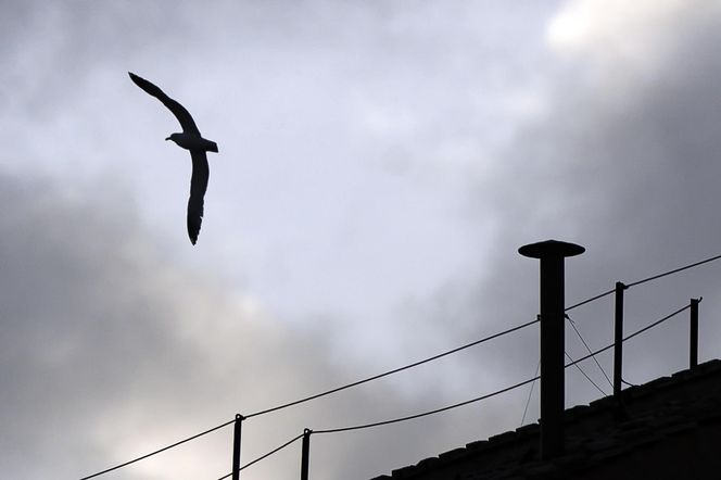 Kaplica Sykstyńska gotowa na konklawe