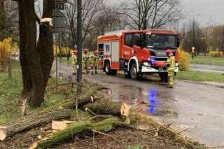 Potężna wichura przeszła nad Sosnowcem zdjęcia