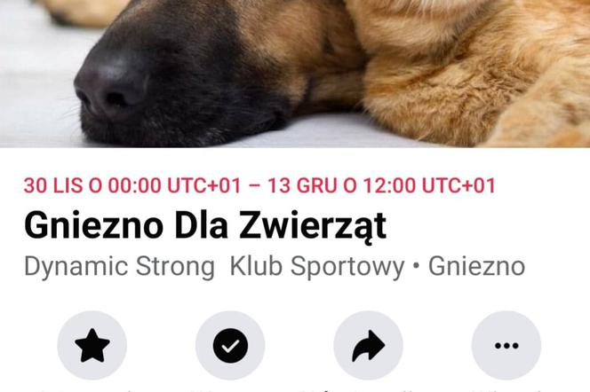 Gniezno dla zwierząt 
