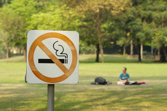 Palenie na plażach i w parkach zabronione. Latem przepisy wejdą w życie we Francji