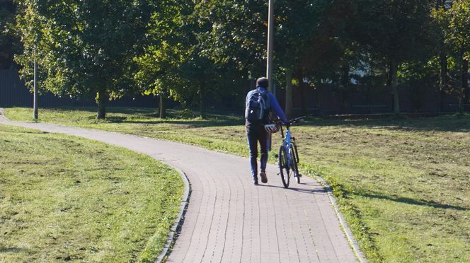 Filary porośnięte bluszczem w Lublinie! Tak się prezentują w jesiennej odsłonie