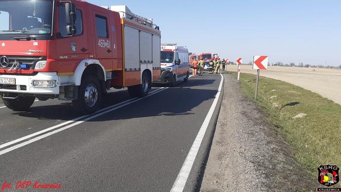 Jechali z dziadkiem na wycieczkę. Zginęli w zderzeniu z tirem
