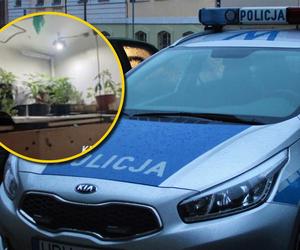 Policjanci przyjechali do pożaru na balkonie. Zapach dymu zdradził skrywaną tajemnicę 33-latka