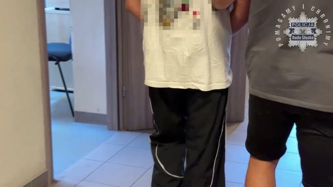 Ukraińcy wywieźli 18-letniego Ukraińca do lasu w Rudzie Śląskiej, brutalnie pobili, okradli i porzucili