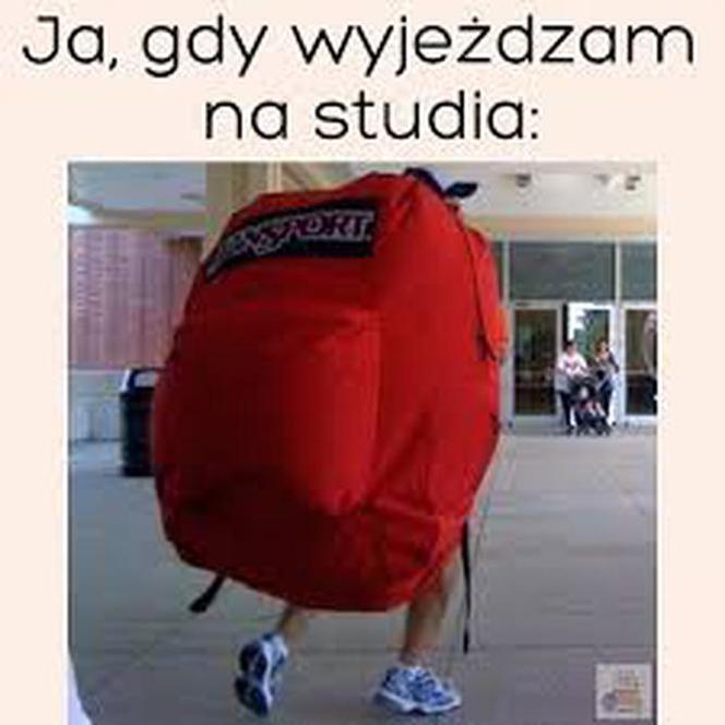Memy na rozpoczęcie roku akademickiego! Studenci płaczą ze śmiechu [1.10.2021]